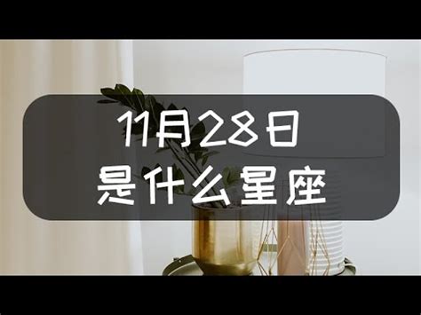 11月28號星座|阳历11月28日是什么星座